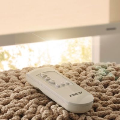 EWFS Handsender EWFS Handsender